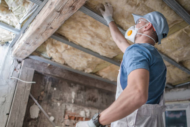 Best Commercial Insulation in Greenup, IL